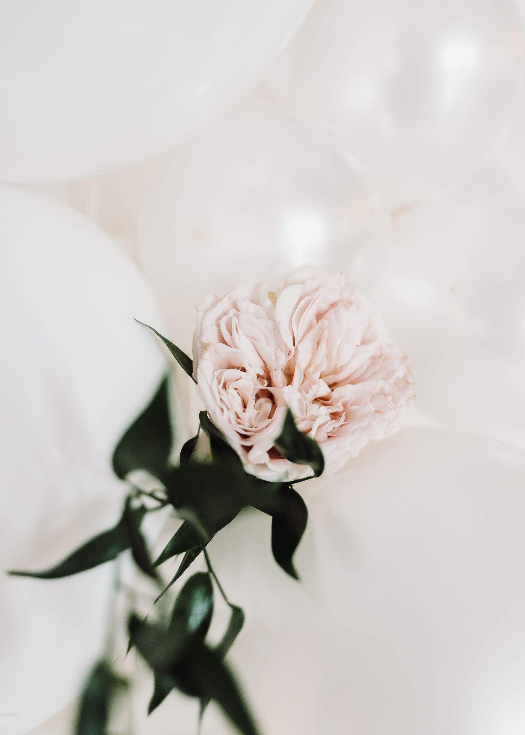 Chłopczyk, który idzie do Pierwszej Komunii Świętej